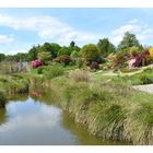 parc botanique de haute bretagne