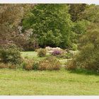 parc botanique de haute bretagne