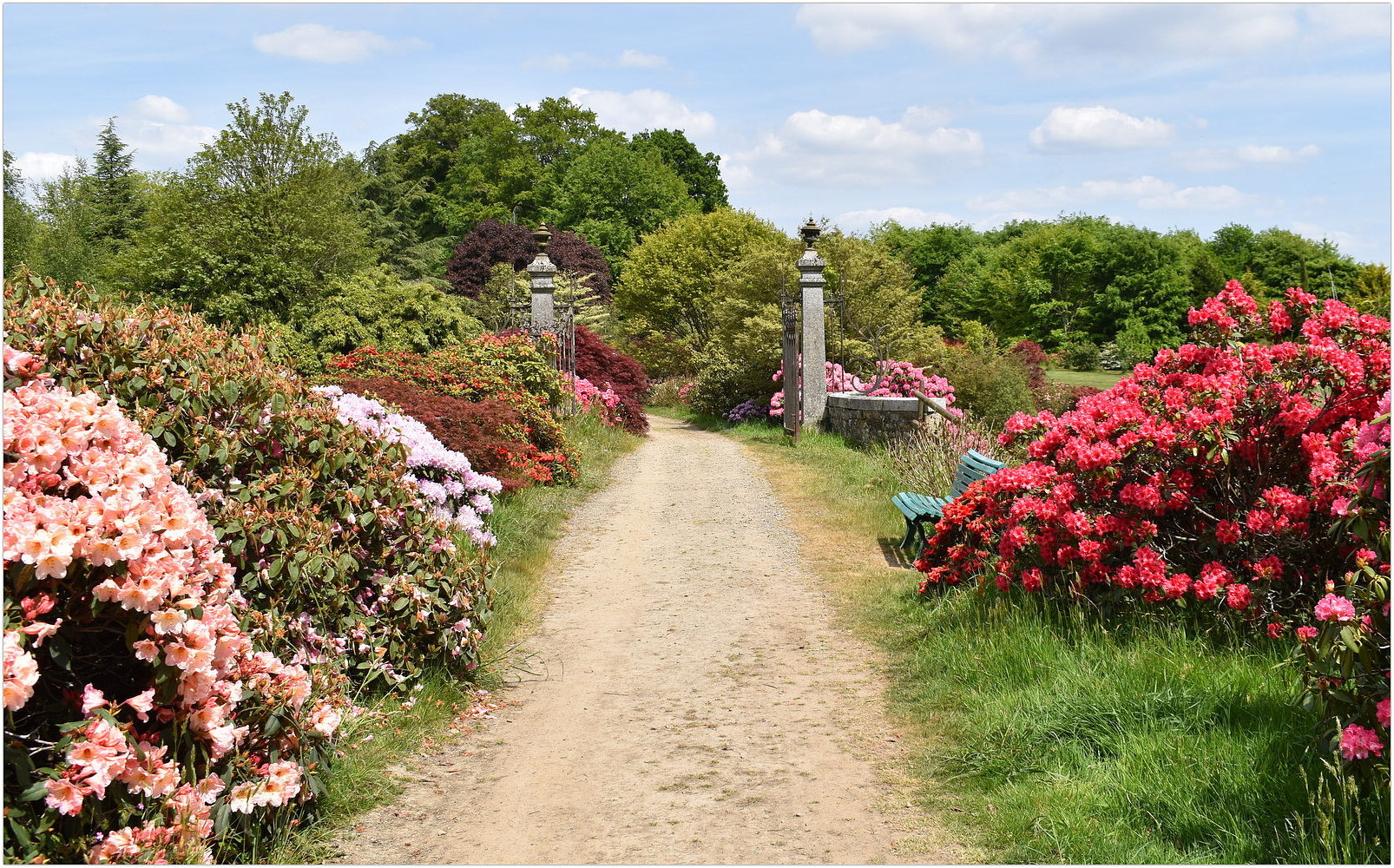 parc botanique de haute bretagne