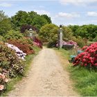 parc botanique de haute bretagne