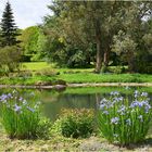 parc botanique de haute bretagne    