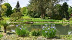 parc botanique de haute bretagne    