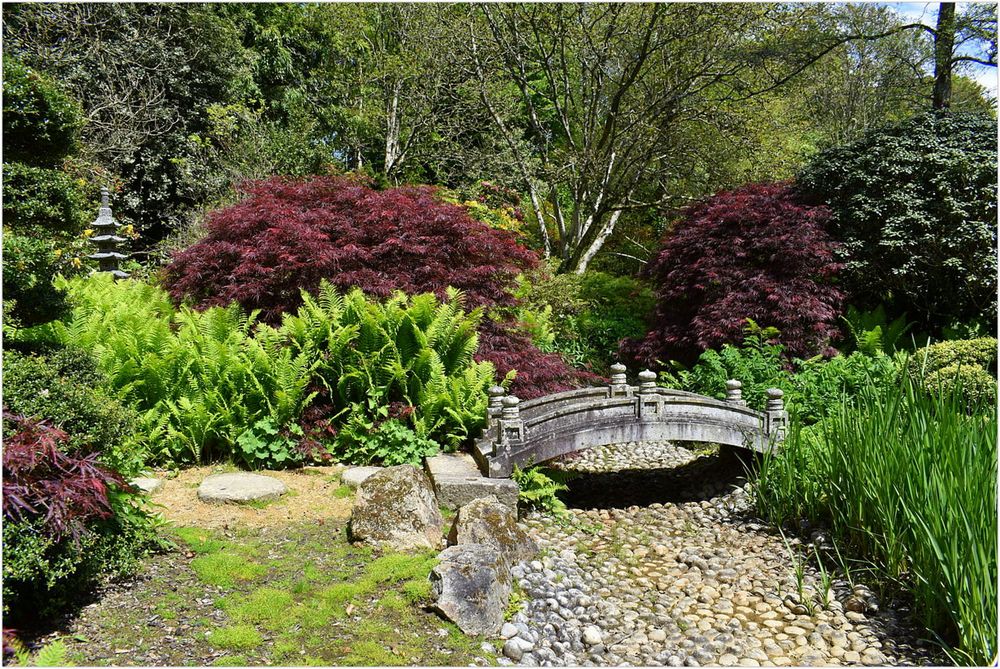 parc botanique de haute bretagne    