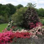 parc botanique de haute bretagne