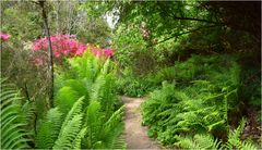 parc botanique de haute bretagne