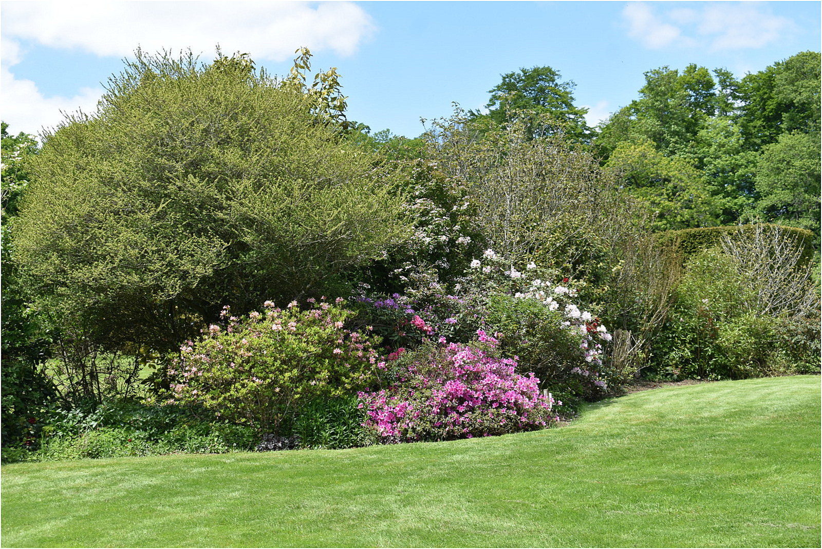 parc botanique de haute bretagne    