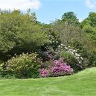 parc botanique de haute bretagne    