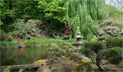 parc botanique de haute bretagne    