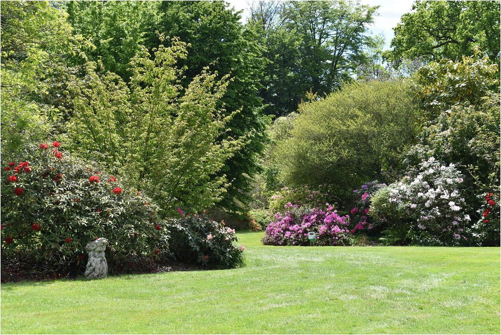 parc botanique de haute bretagne    