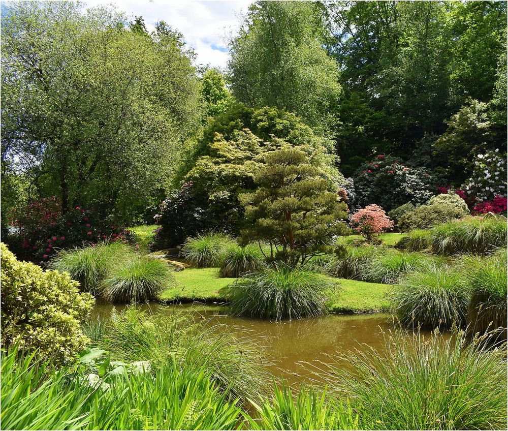 parc botanique de haute bretagne    