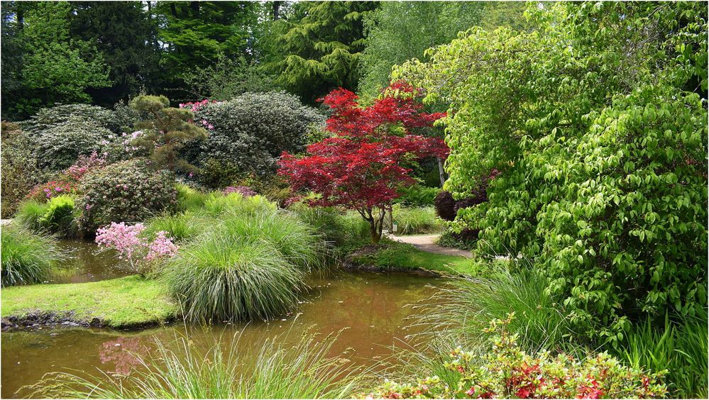 parc botanique de haute bretagne    