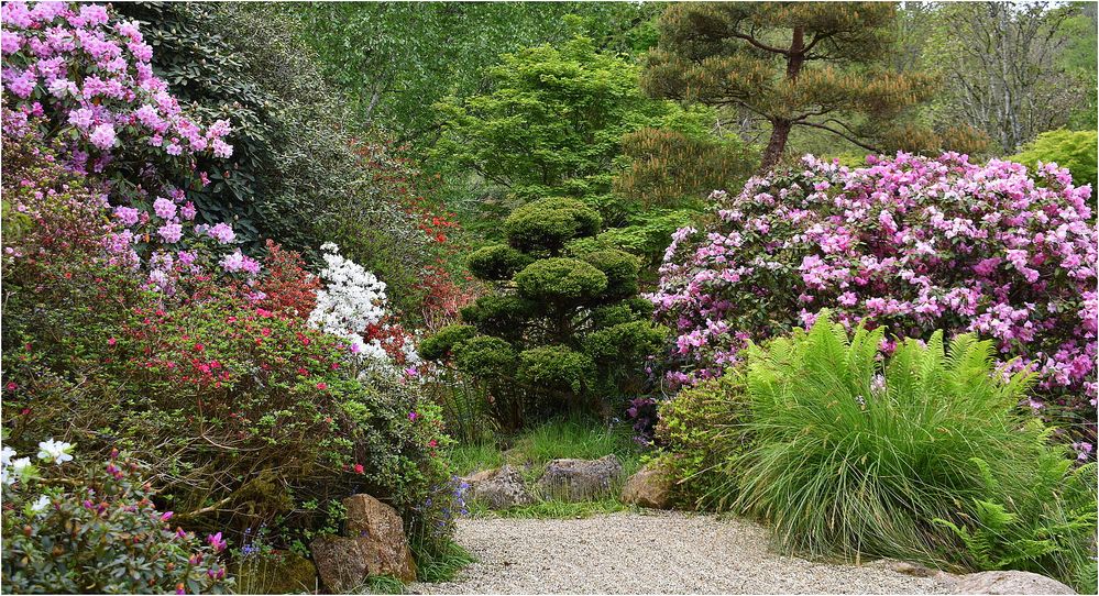 parc botanique de haute bretagne