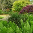 parc botanique de haute bretagne