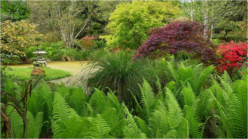 parc botanique de haute bretagne