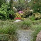 parc botanique de haute bretagne