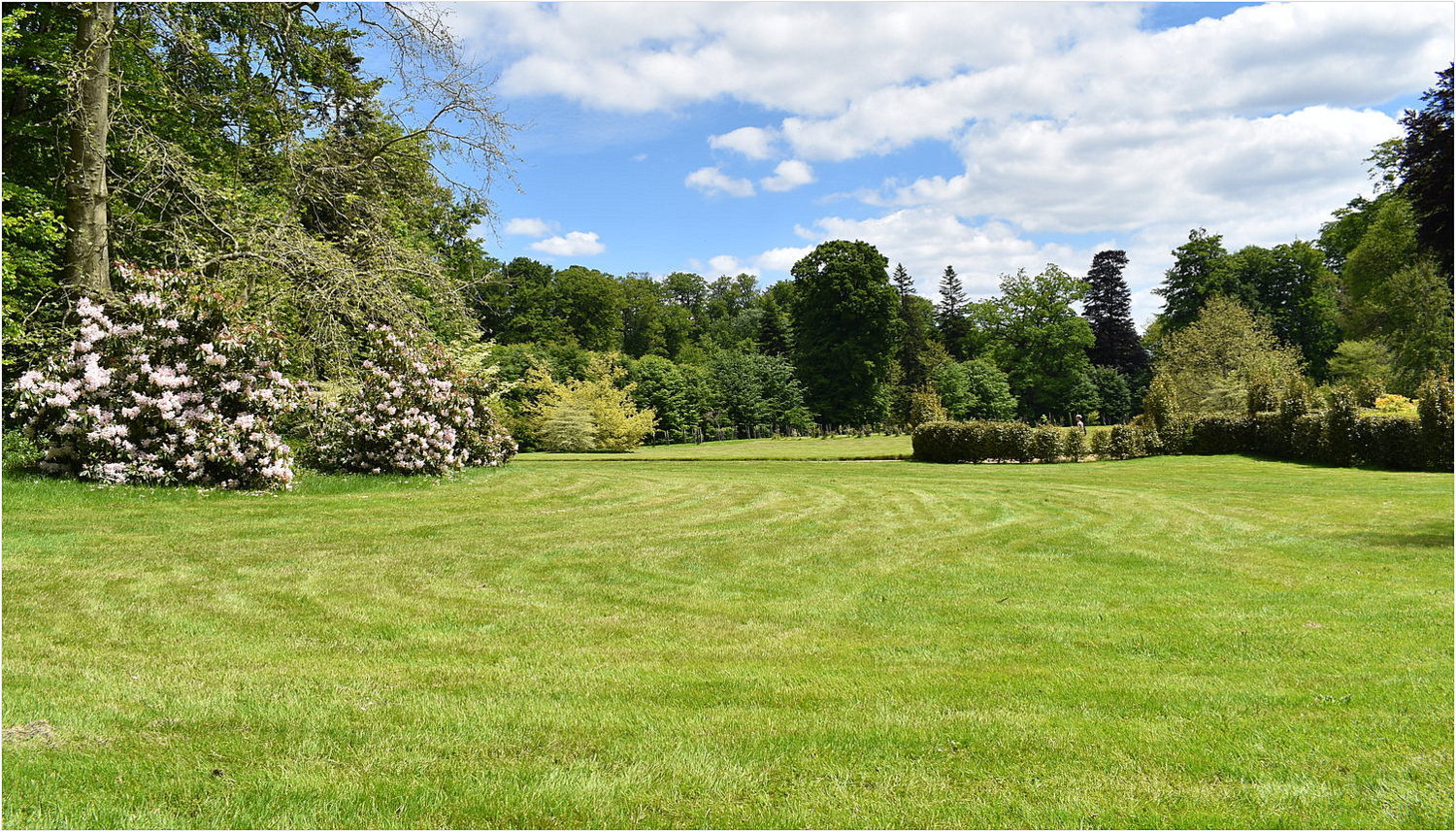 parc botanique de haute bretagne    