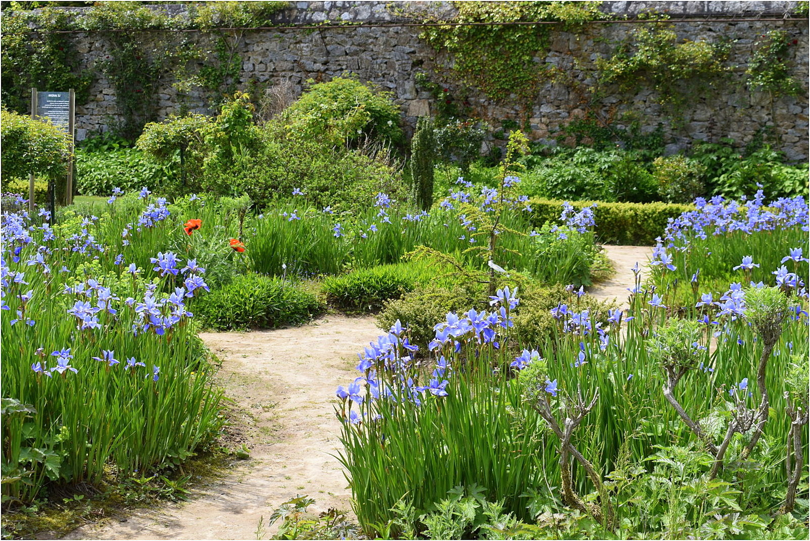 parc botanique de haute bretagne    