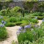 parc botanique de haute bretagne    