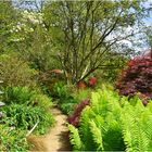 parc botanique de haute bretagne