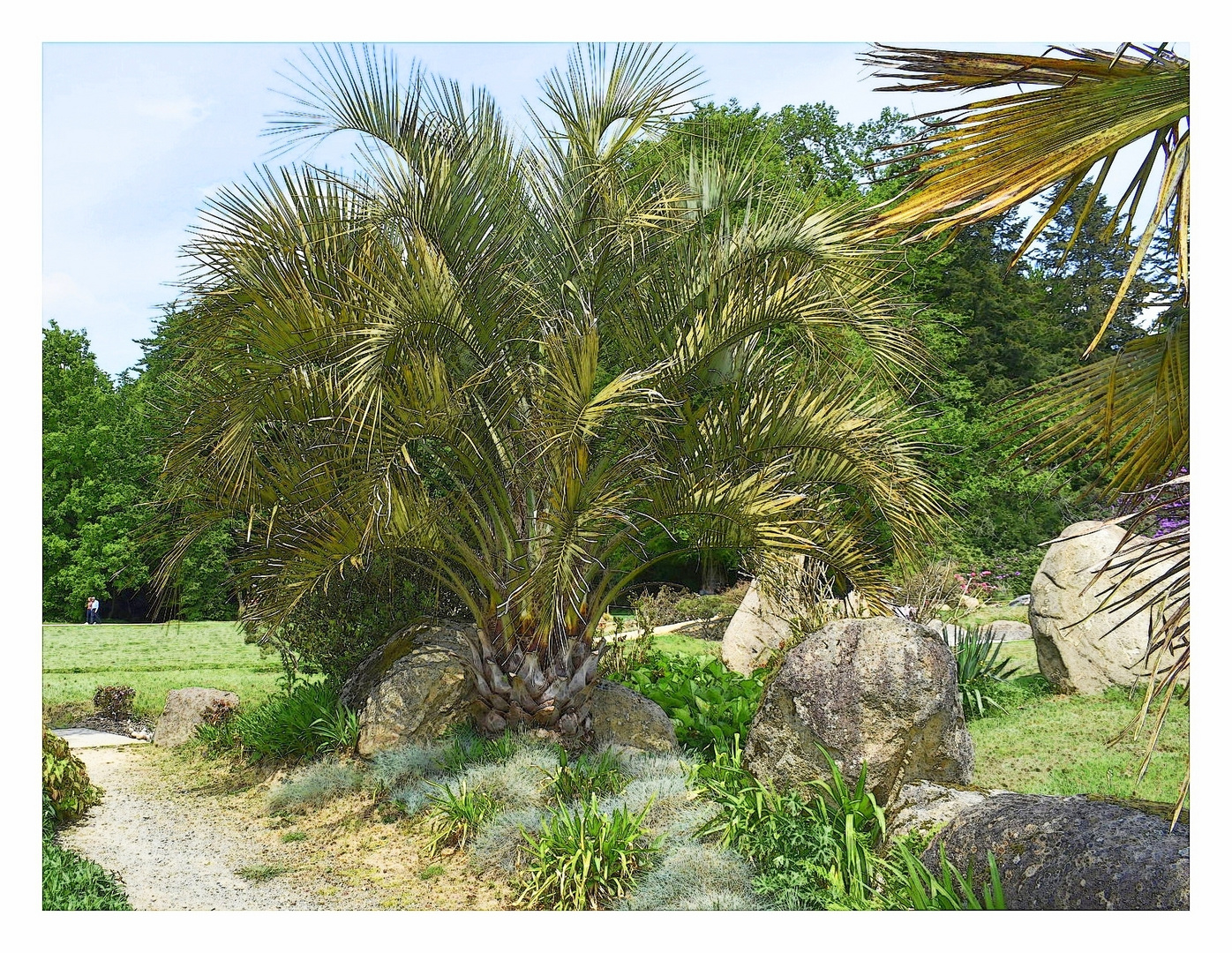 parc botanique de haute bretagne