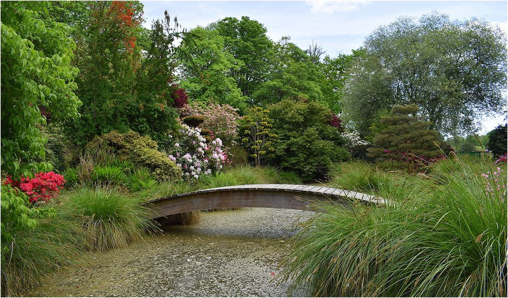 parc botanique de haute bretagne