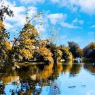 Parc d'automne