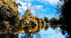 Parc d'automne