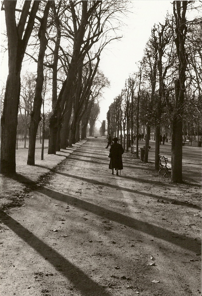 parc de blossac poitiers