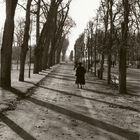 parc de blossac poitiers