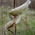 Parc de Boucherville, Quebec (1)