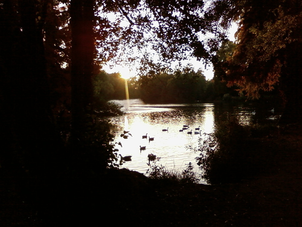 parc de bourran