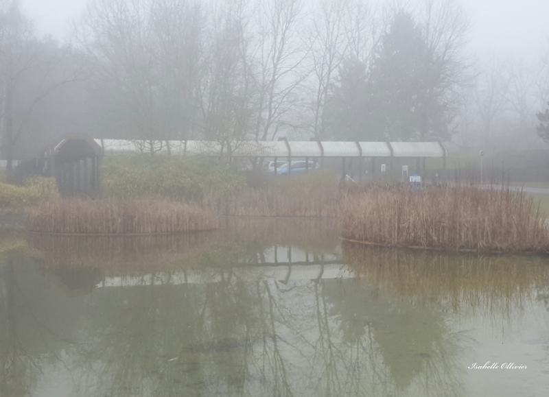 Parc de Cergy Saint Christophe .