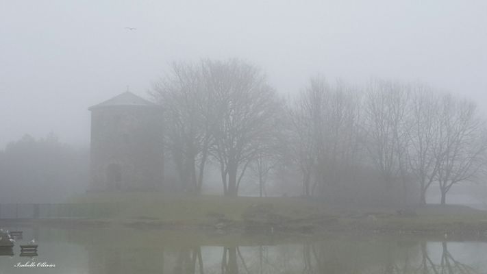 Parc de Cergy Saint Christophe .