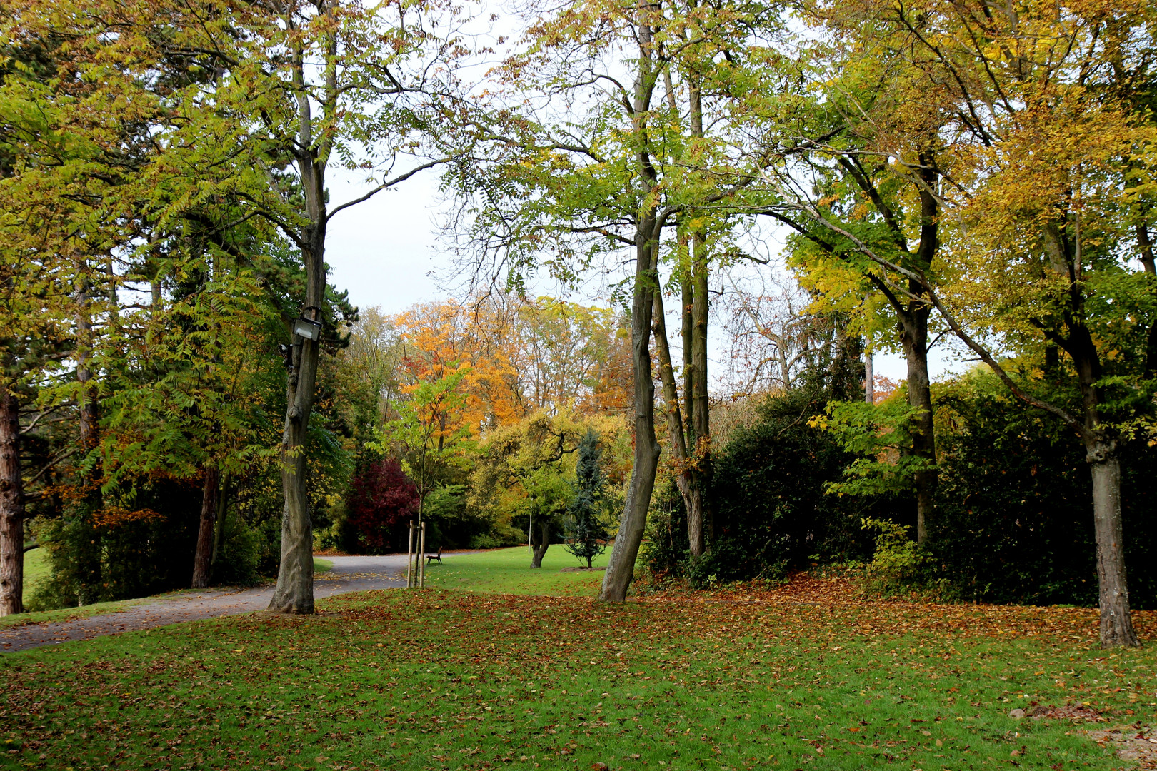 parc de champagne 001 (22)