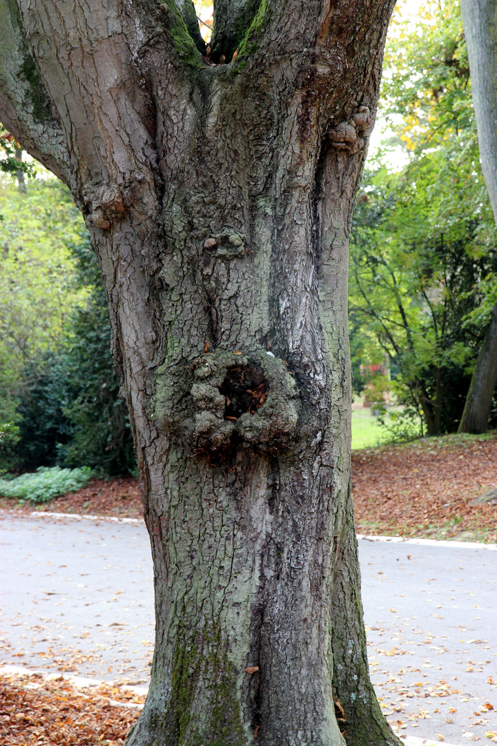 parc de champagne 001 (26)