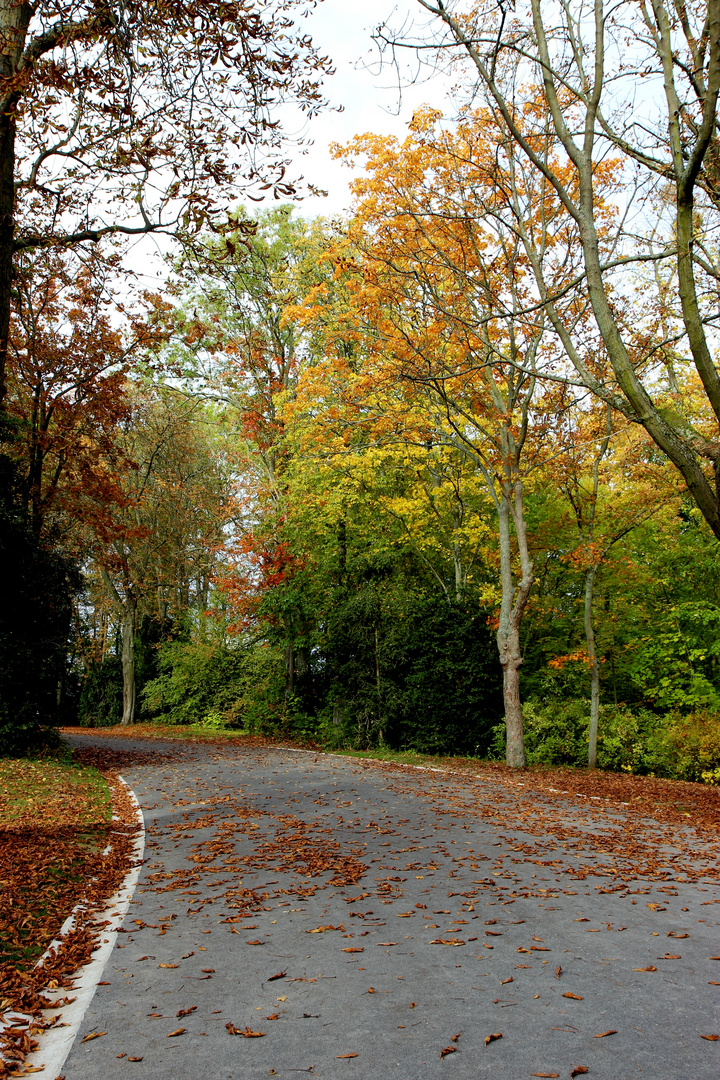 parc de champagne 001 (32)