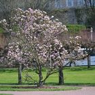 Parc De Chartres