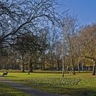 Parc de Christ’s Piece sous le soleil d’hiver  --  Cambridge