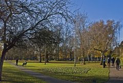 Parc de Christ’s Piece sous le soleil d’hiver  --  Cambridge