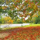 Parc de Gauge début novembre