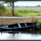 PARC- de la - BRIERE - 3 - 