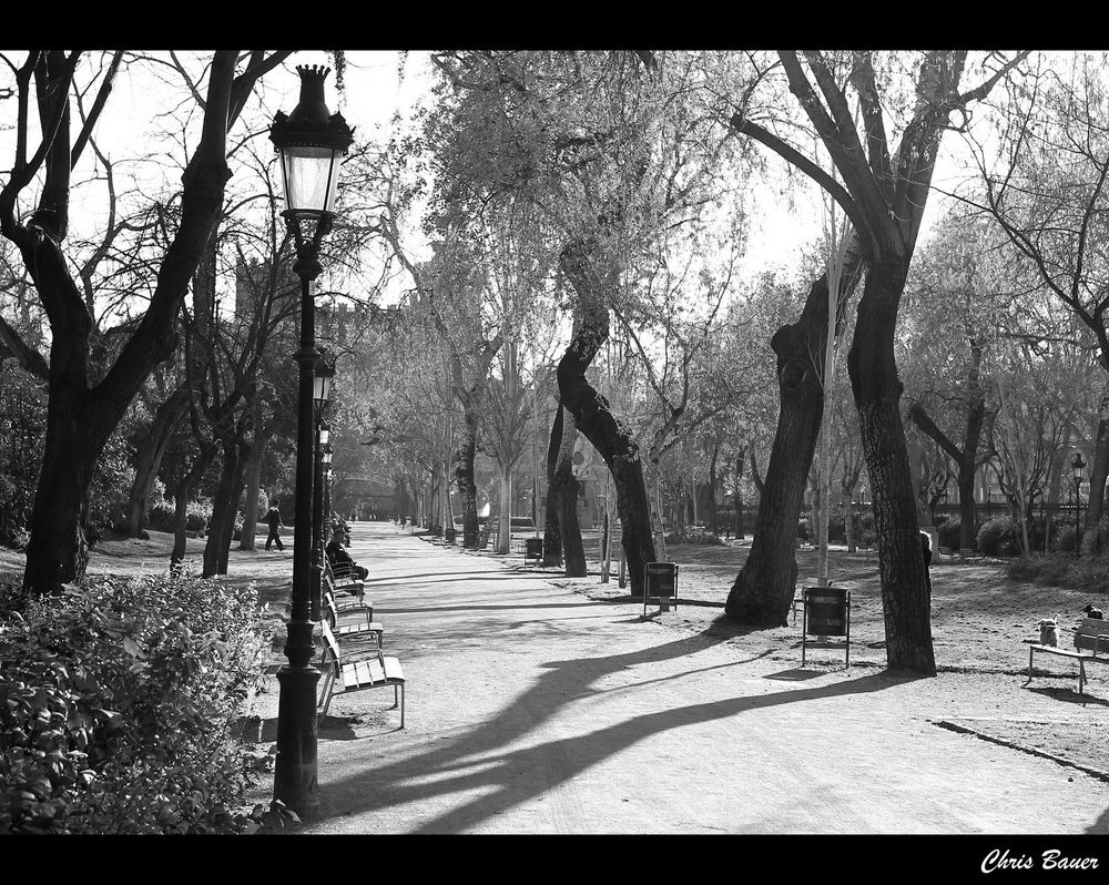 Parc de la Ciutadella