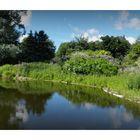 parc de la foltière