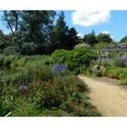 parc de la foltière