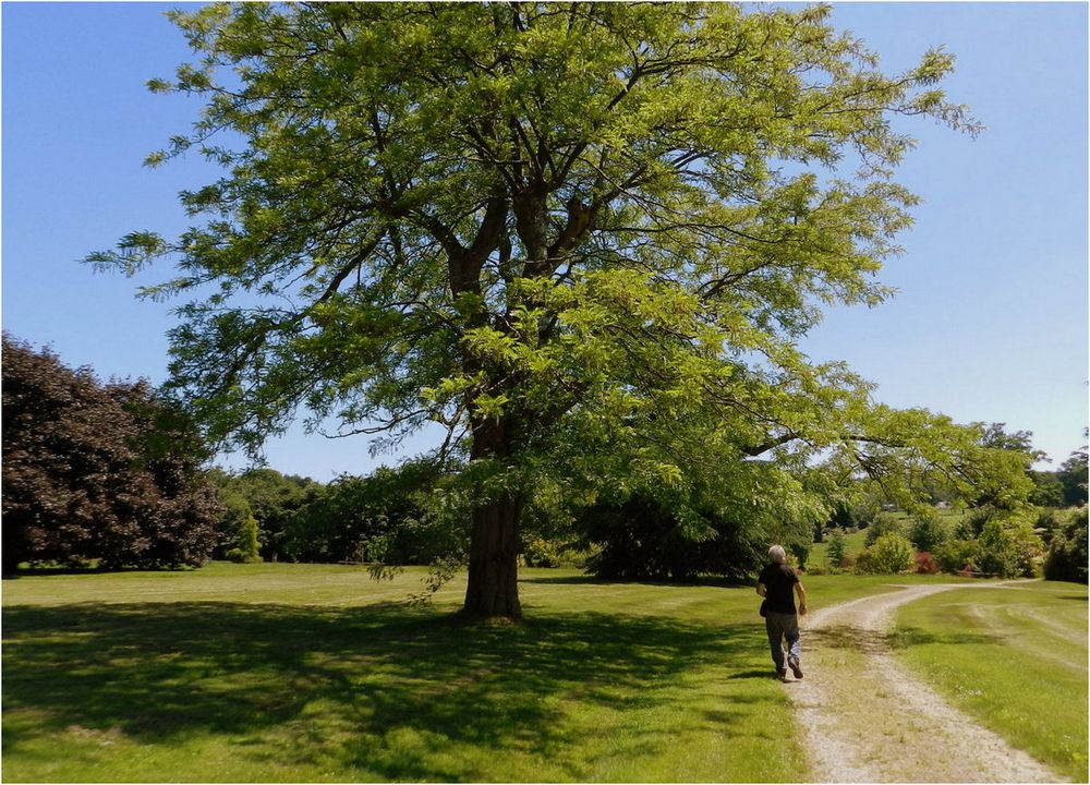 parc de la foltière