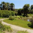 parc de la foltière