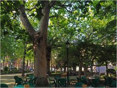 Parc de la gloriette  --  Segorbe