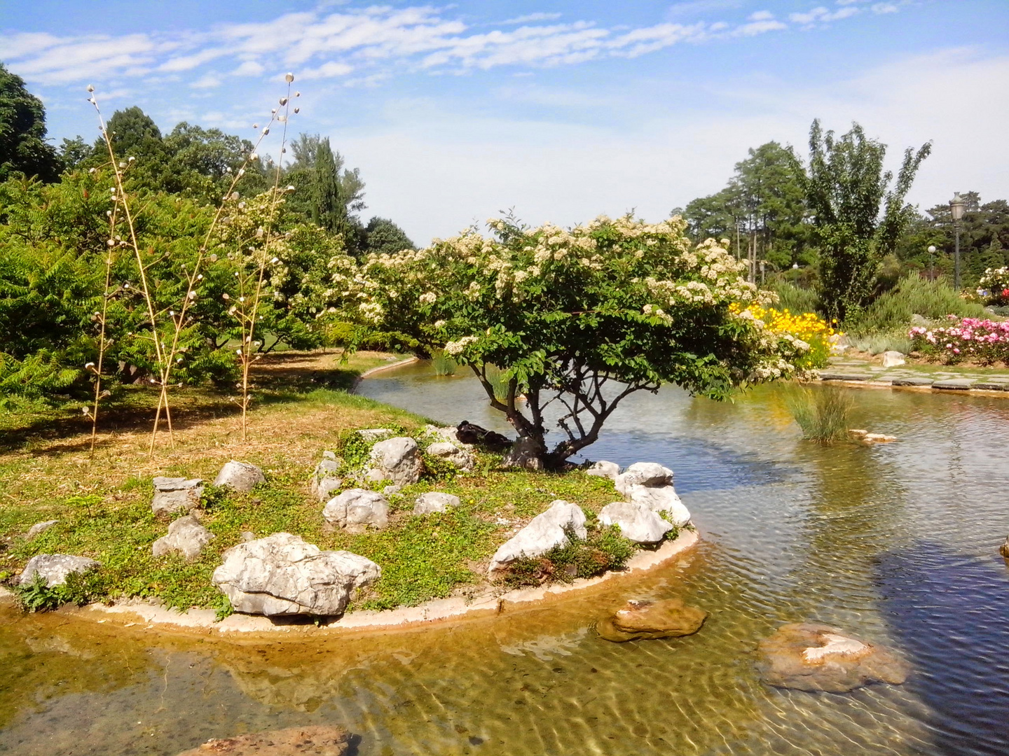 Parc de la tête d'or.