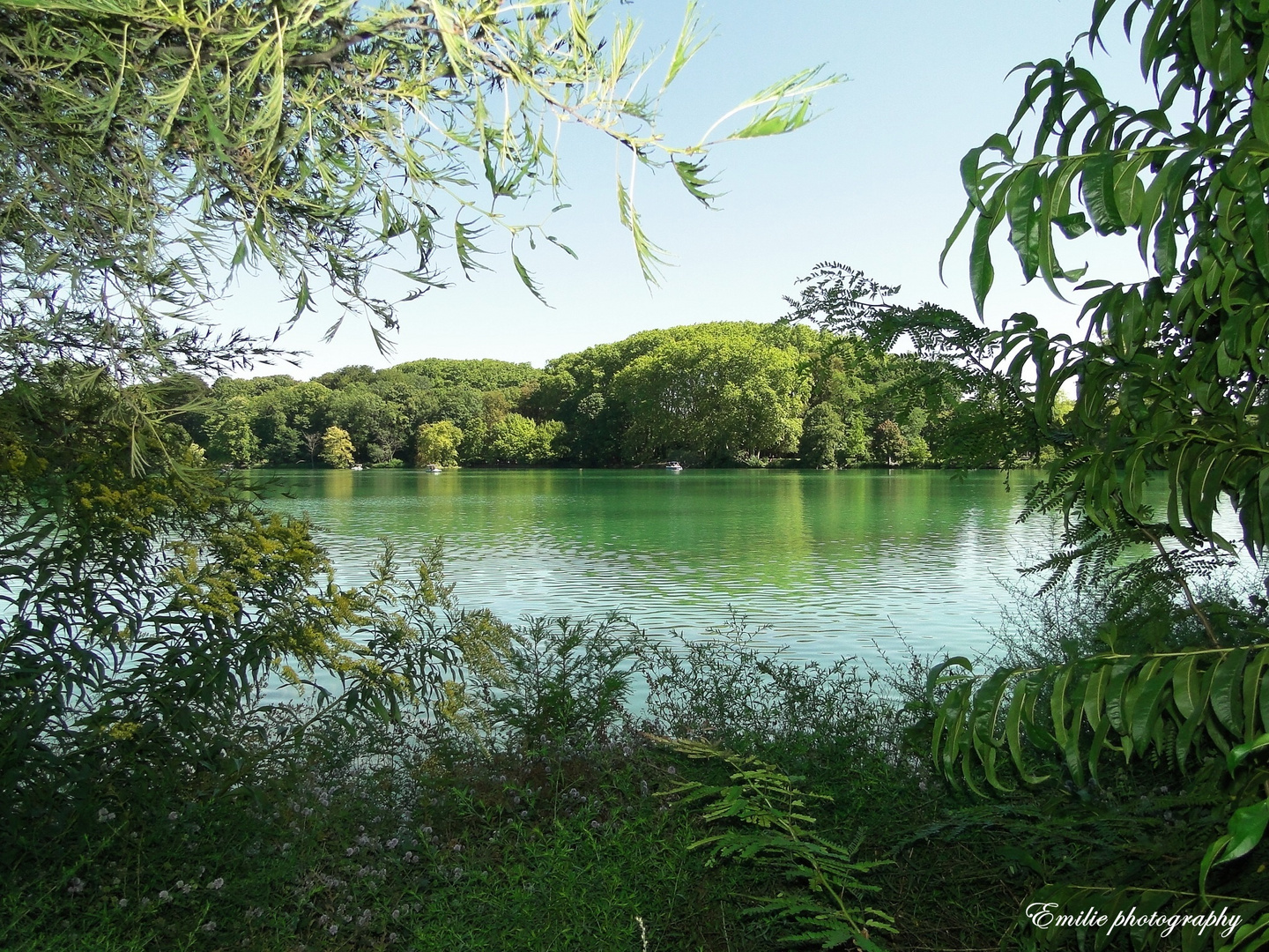 Parc de la tête d'Or