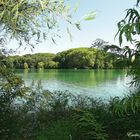 Parc de la tête d'Or